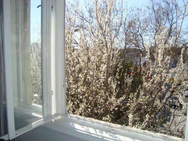 Riki Accommodation Split Room photo